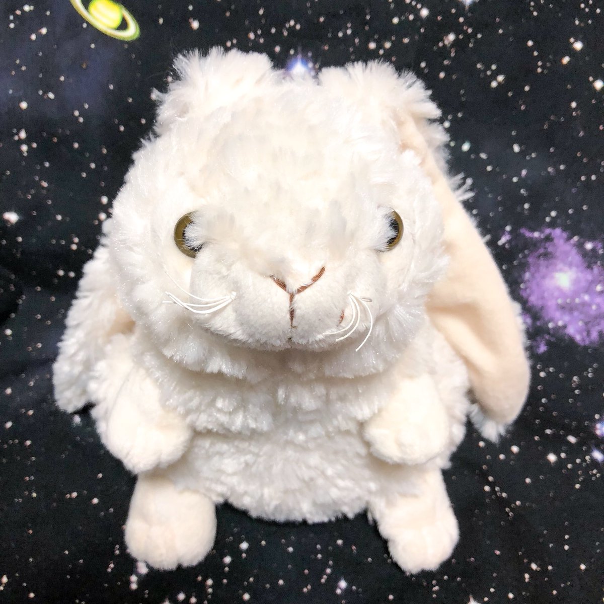 nuiusagi3's tweet photo. inware社のうさぎさん。
ドイツの出身のうさぎさんです。
お耳がとても長いのが特徴的ですね。
ふくふくしてとてもかわいいうさぎさんです!
#ぬいぐるみ #ぬいぐるみ大好き #うさぎ #うさぎのぬいぐるみ #ウサギ #ぬいどり #ぬい撮り #inware https://t.co/rxTV3pncWS