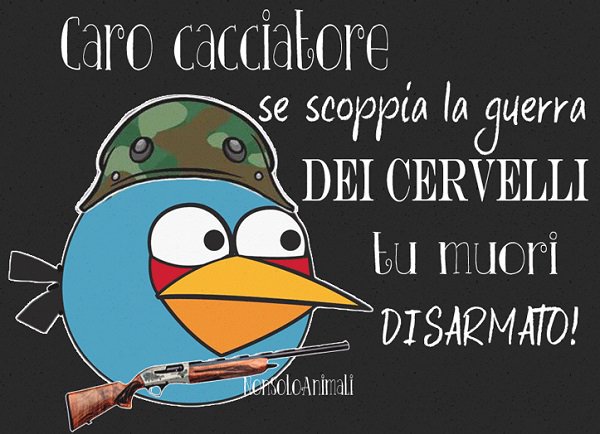 FioreSanRemo's tweet photo. @nicodemodani IO SONO PER LA DIFESA DEGLI #AnimalRights https://t.co/h9qvQy3ZHM