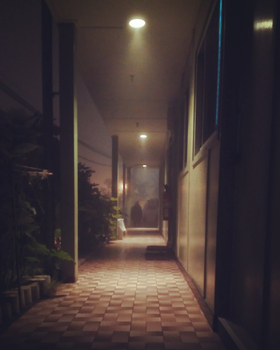 _Gunba's tweet image. 