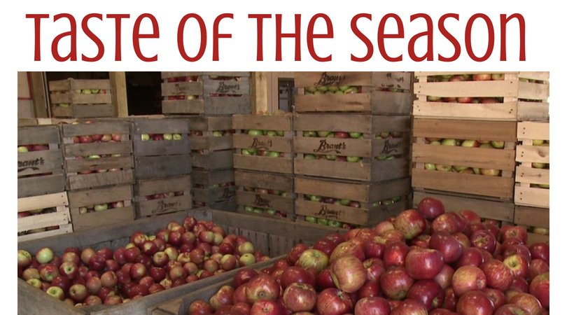 Sept 23 @ 2pm: A 4-course meal featuring Brant's apples &amp; cider with a wine pairing from our winemaker. Each guest receives a bottle of our Apple wine and a gallon of Brant's apple cider to enjoy at home. 
#thelakehouseinn #lakeerie #locallyunique #gotl #thisiscle #ohiowines