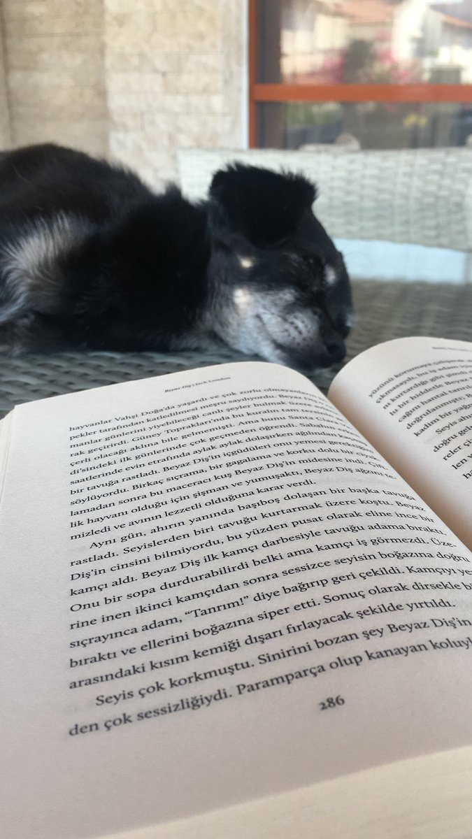 Ben kitap okurken Dany.

Anlık..