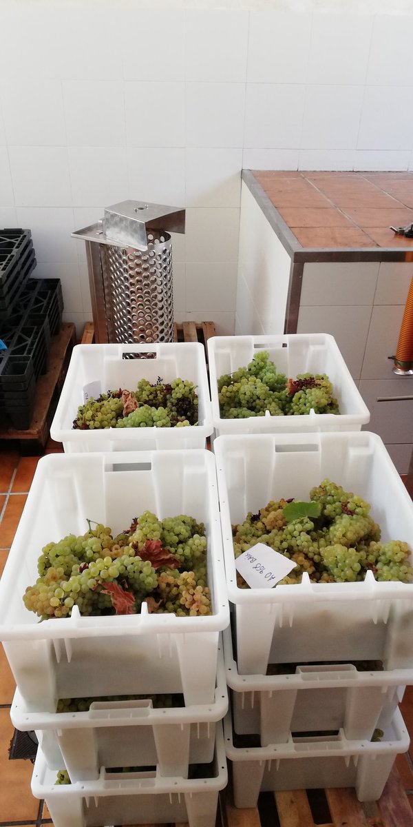 AgroMapping tweet media