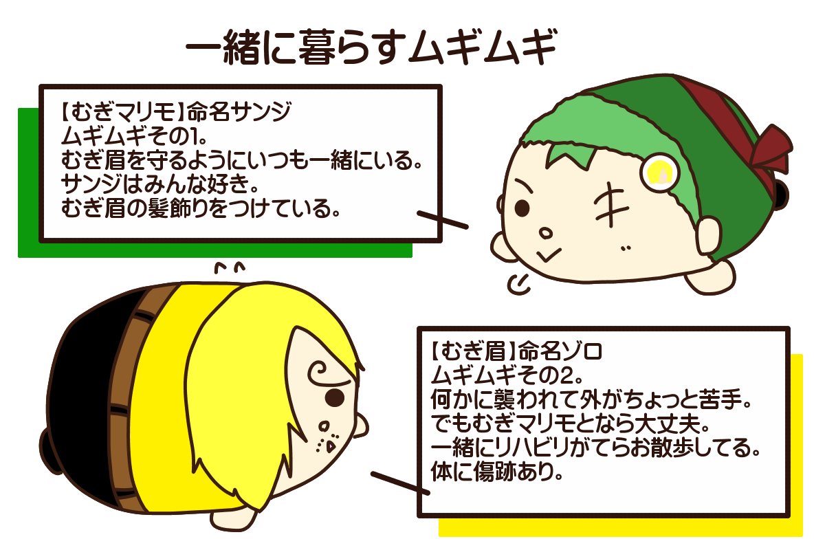 マァサさんちのzs島 マァサさんちのzs島