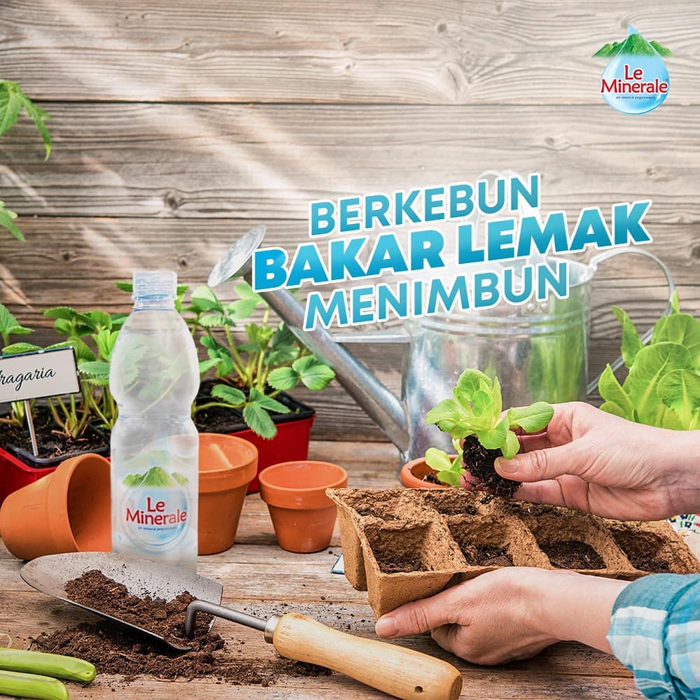 OfficialRCTI's tweet image. Berkebun dipagi hari bisa membakar sekitar 250 kalori sekaligus menyerap vitamin D alami dari sinar matahari lho, Leminz. Jangan lupa juga minum Le Minerale agar tubuh tetap segar 😉 #JelasLeMinerale #MoveRight #DrinkRight