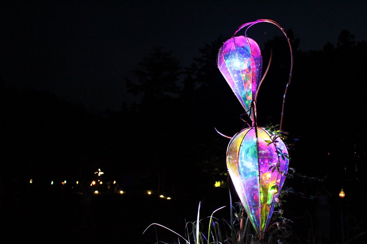 Orb_lab's tweet photo. 先週末、花巻市の宮沢賢治の童話村のライトアップを見てきました:*:・(*´ω`pq゛
とっても幻想的で綺麗でした(*˙꒳˙*)‧⁺✧︎* https://t.co/zEzZsQRveg