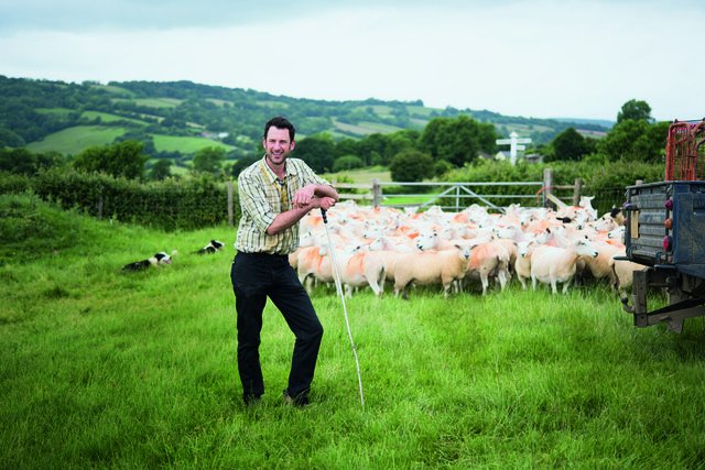 CoopAgriMatters's tweet photo. Co-op are committed to providing 100% British lamb all year round and have therefore expanded their Lamb Farming Group to include 32 farms from Northern Ireland, Scotland, Wales and England! #TheCoopWay #LoveLambWeek 🐑 https://t.co/Z11HE9pCIe