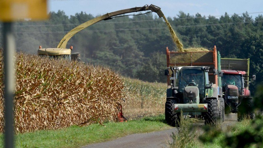 svz_de's tweet image. Anschläge auf #Maishäcksler: Stecken militante #Naturschützer oder Konkurrenten dahinter? #MV
svz.de/deutschland-we…