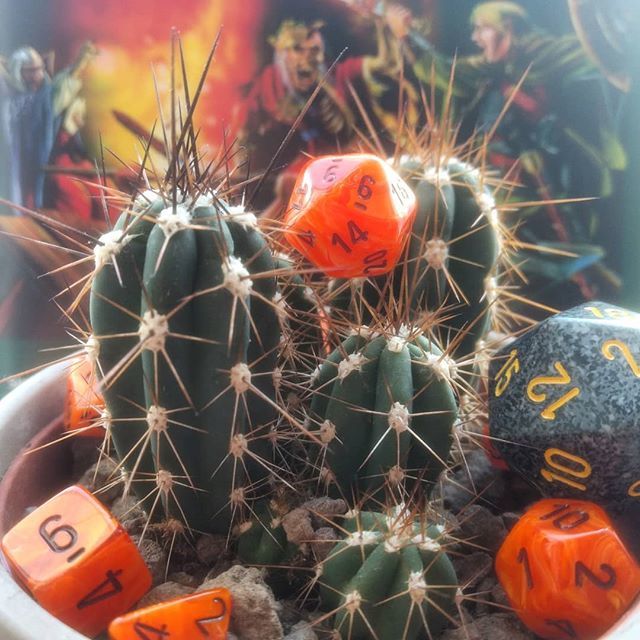 ArturoBenzi's tweet photo. There's a light, a cactus, an old-school adventure module, and obviously dice ♥️🎲 #gdr #rpg #magicd20 #dungeonmaster #polyhedraldice #d20 #dmscreen #magicthegathering #wargaming #unusualdice #d20system #rollforinitiative #dadi #dice #criticalhit #ch… https://t.co/aX3cXug1YY https://t.co/G8RQkaxNz4