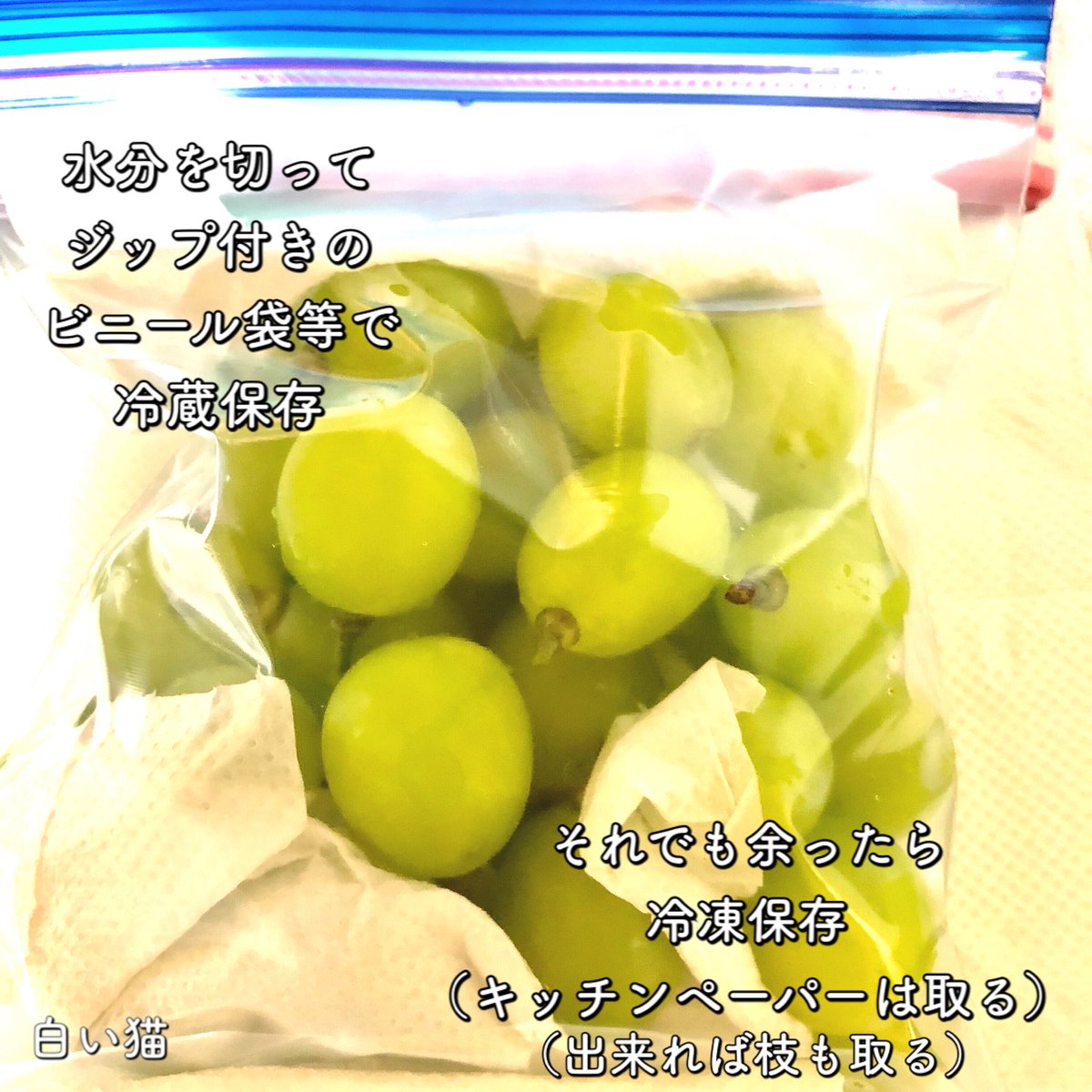 シャイン マスカット 保存