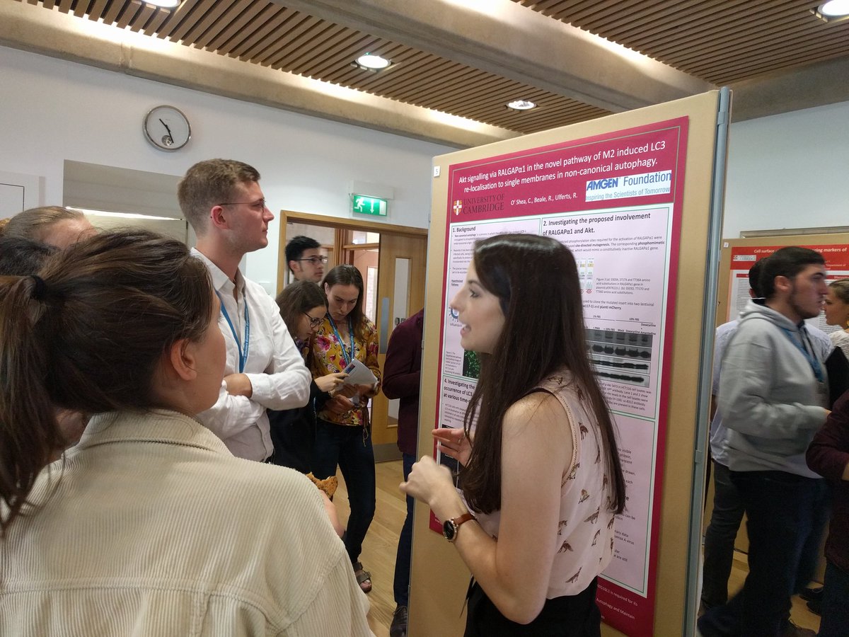 Amgen Scholars Global Program Office (@asp_gpo) on Twitter photo Every student at the #AmgenScholars Europe symposium presents a research poster -- exciting to see their projects!
<a href="/Cambridge_Uni/">Cambridge University</a> <a href="/AmgenScholarECC/">Amgen Scholars ECC</a> Every student at the #AmgenScholars Europe symposium presents a research poster -- exciting to see their projects!
<a href="/Cambridge_Uni/">Cambridge University</a> <a href="/AmgenScholarECC/">Amgen Scholars ECC</a>