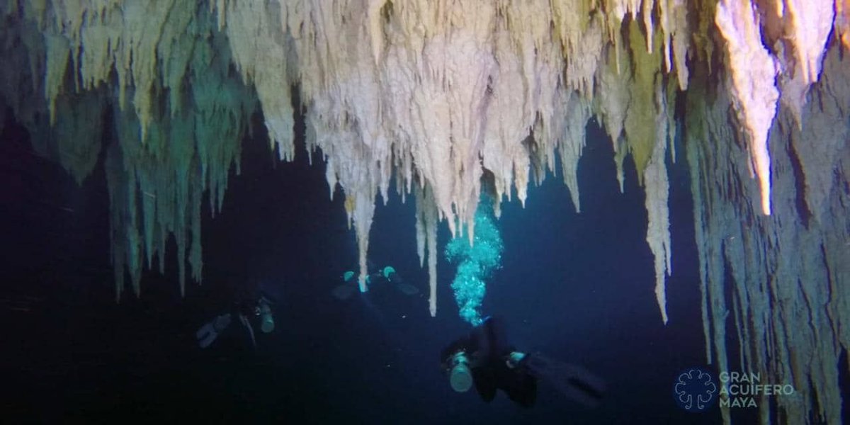 MGToursSpain's tweet photo. ¿Sabías que en la península de #Yucatan, en #Mexico, existe la cueva subacuática más larga del mundo? Tiene una longitud de 346 kilómetros y puedes conocer más en este artículo de @NatGeo: https://t.co/fm72koQ5jT https://t.co/zqe9DSLAg7
