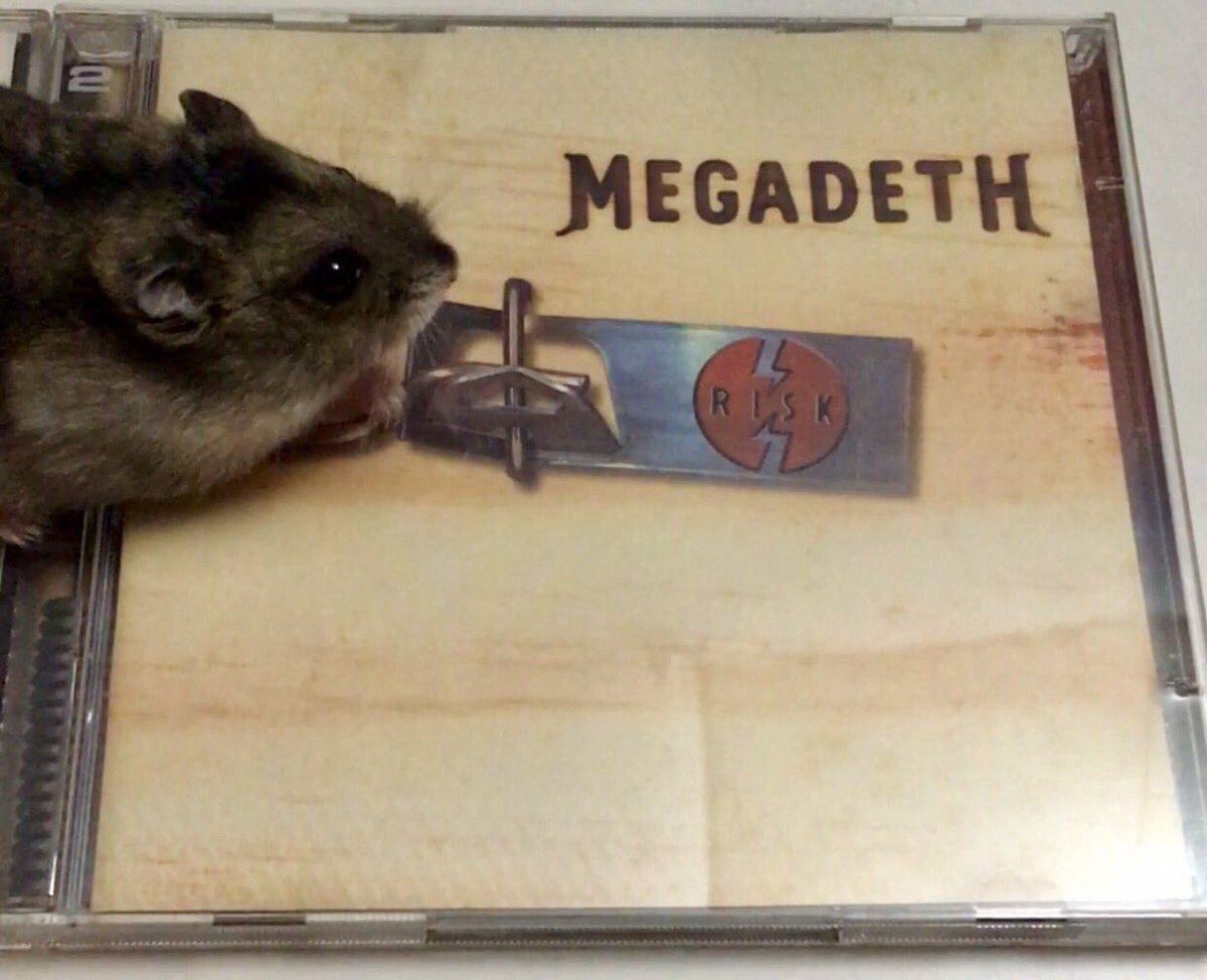 sod864's tweet photo. @DaveMustaine Now all I need is a Sphinx to sneak behind.. #risk https://t.co/6LEAEThpyZ