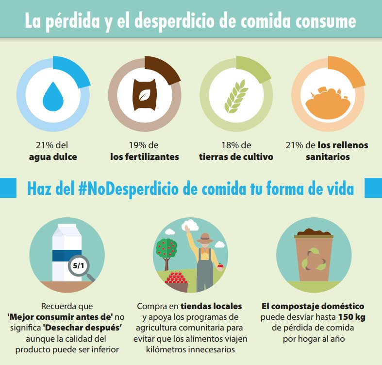 mitecogob's tweet photo. Cada año un tercio de la producción mundial de alimentos para consumo humano no llega a ningún plato y se pierde o se desperdicia. 🍝
Esto equivale a 1.300 millones de toneladas de alimentos 🍈🍎🥔🥦
Haz del #NoDesperdicio de comida tu forma de vida. @FAOenEspanol https://t.co/6phrjw88xx