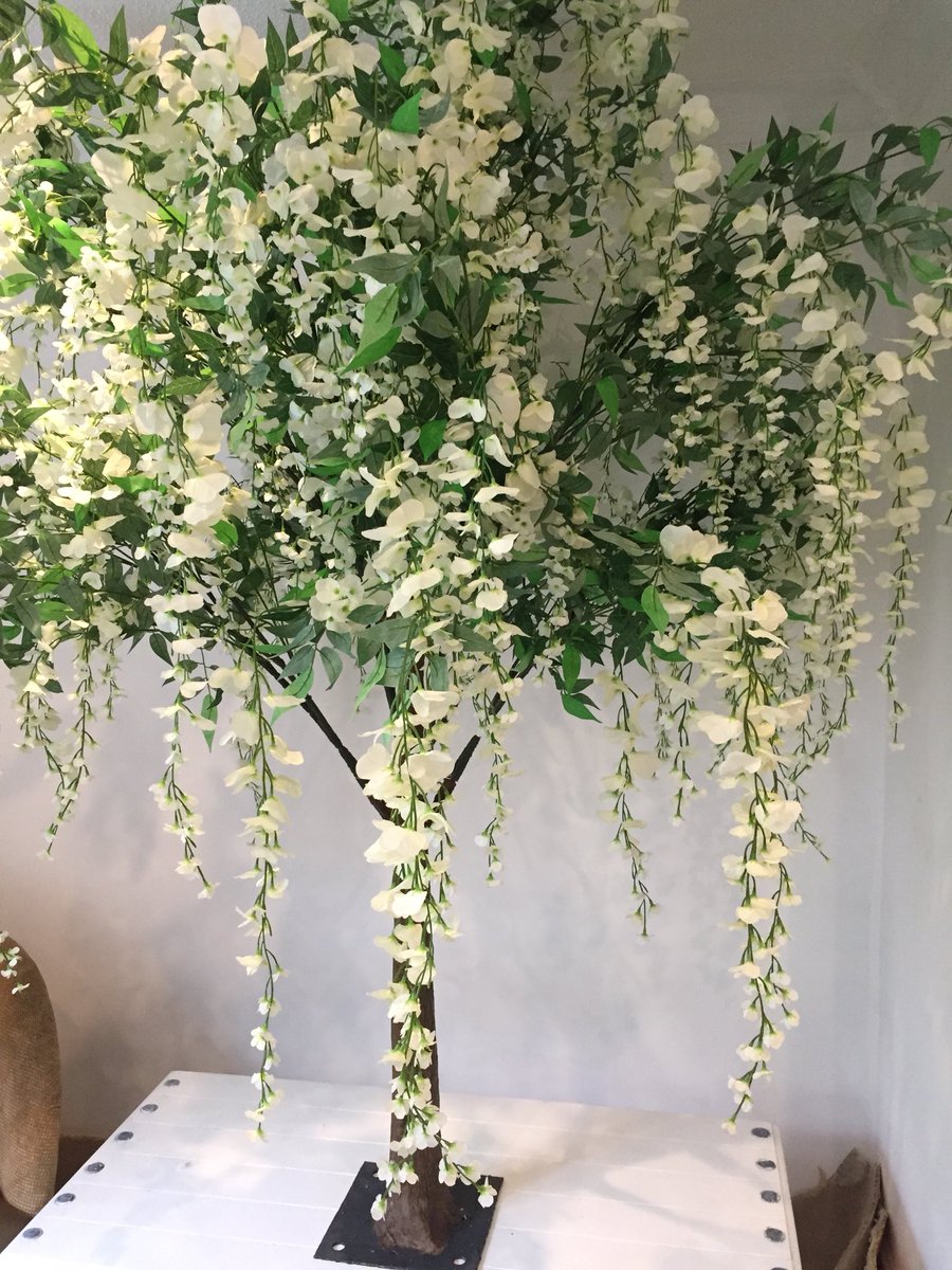 houseoftreesuk's tweet photo. Full range of luxury #trees to hire #eventprofs @dazzleandfizz #wisteria #blossom #christmas #enchanted https://t.co/jLmsXVOkuQ