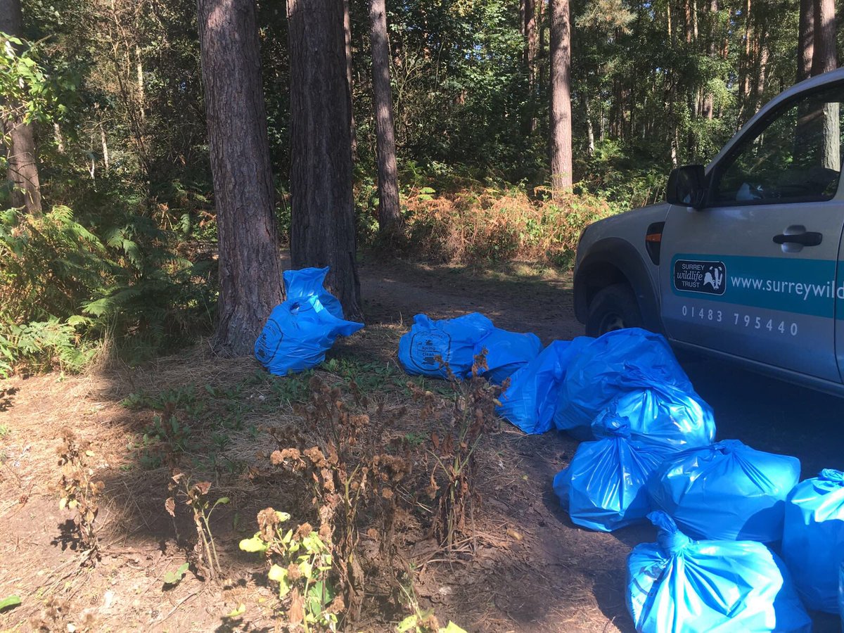 Ockhambitescafe's tweet photo. Great work this weekend thank to @roscopackman @SurreyWT what a difference it makes πthank you from @Ockhambitescafe #wildlife #woodlands #cleanup #savetheplanet #litterfree #lovelypeople #ockhamcommon #Cobham https://t.co/B1kTq90pqe