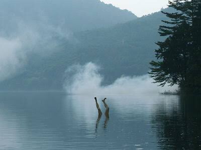 おさむし 青木湖 木崎湖 さま 長野県大町市にある湖で 中網湖を加え仁科三湖と呼ばれている 映画 犬神家 の一族 のロケ地 スケキヨの足突き出したシーンや猿蔵が飛び込むシーンは青木湖 珠世が船に乗っているシーンや金田一が珠世に手紙を渡す岬は木崎