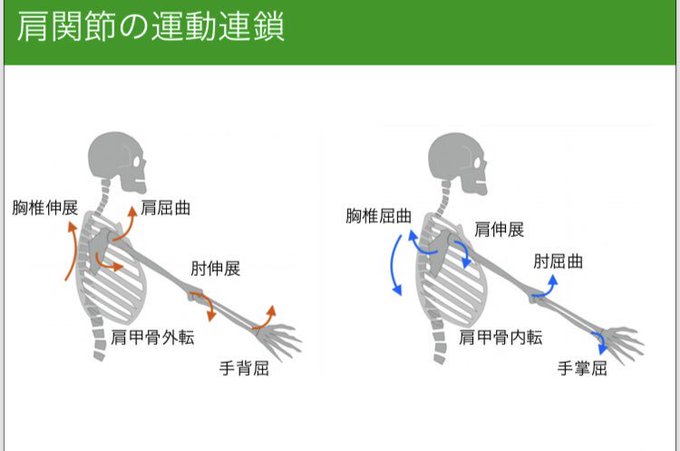 肩関節運動に伴う、関連する関節の動き。 広義の肩関節運動は、肩甲骨と上腕骨からなるが、肘や手など含めて、どういう動き