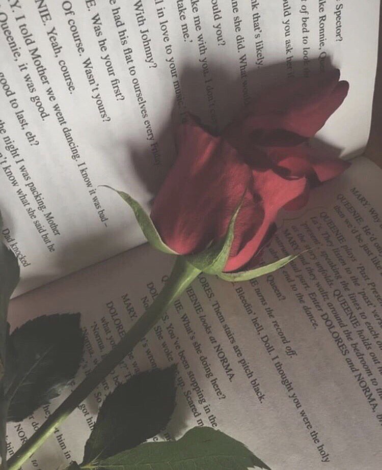 btsKOOK__rabbit's tweet image. 🌙new tag🌙

__02line

__전정국

__グクミン推してます🌷

__イルコン東京進撃(予定😷)

🚨仲良くなるとキチ発動します🚨

#ARMYスルー禁止 #armyさんと強烈に絡みたいのでRTしてくれた方フォローします #armyいいねしてくれた人全員フォロー  #armyさんと猛烈に絡みたい #ARMYさんたちと繋がりたい