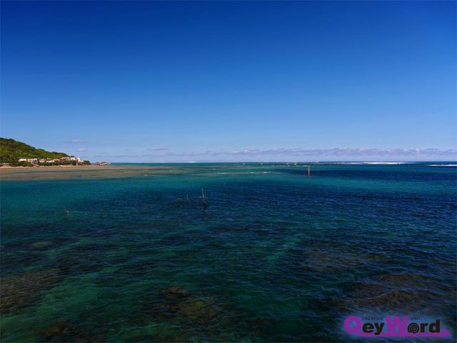 WogawaQiwamu's tweet photo. Viridian in blue at okinawa

#japan #okinawa #loves_okinawa #instagramjapan #ig_japan #ig_nihon #lovers_nippon #natgeotravel #icu_japan #ig_sharepoint #s_shot #japan_daytime_view #phos_japan #special_spot_ #special_shots #ig_great_pics #createcaptura #photo_shorttrip #genic_… https://t.co/Dn07LQFHzp