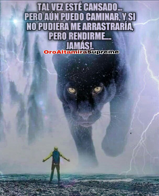 OroSupreme's tweet photo. #orosupreme #oroaltamirasupreme #altamira #caracas #dolar #dolartoday #orocaracas #comprooro #oro #instagram #money #joyas #comproplata #miami #california #losangeles #newyork #negocios #caracascity #supreme #gold #venezuela #marketing #marketingdigital #hot #petro https://t.co/eH6cHQ8oZx
