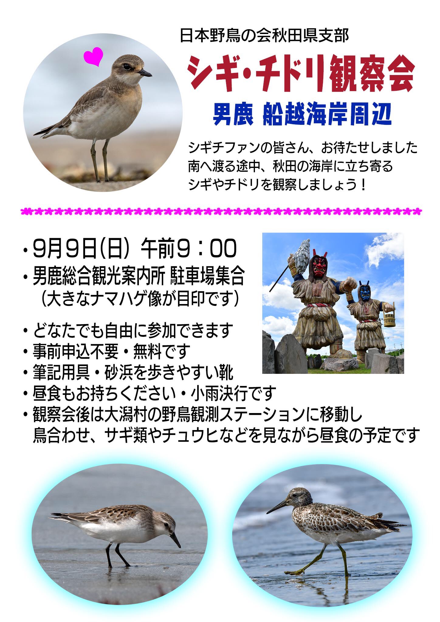 鳥猫 Wbsj Akita ９月９日 日 日本野鳥の会秋田県支部 シギ チドリ観察会 シギチファンの皆さん 大変お待たせいたしました 内陸部にお住まいの方もこの機会に浜辺のシギチを観察しましょう 野鳥 探鳥会 シギ チドリ 秋田 男鹿市 ナマハゲ像p