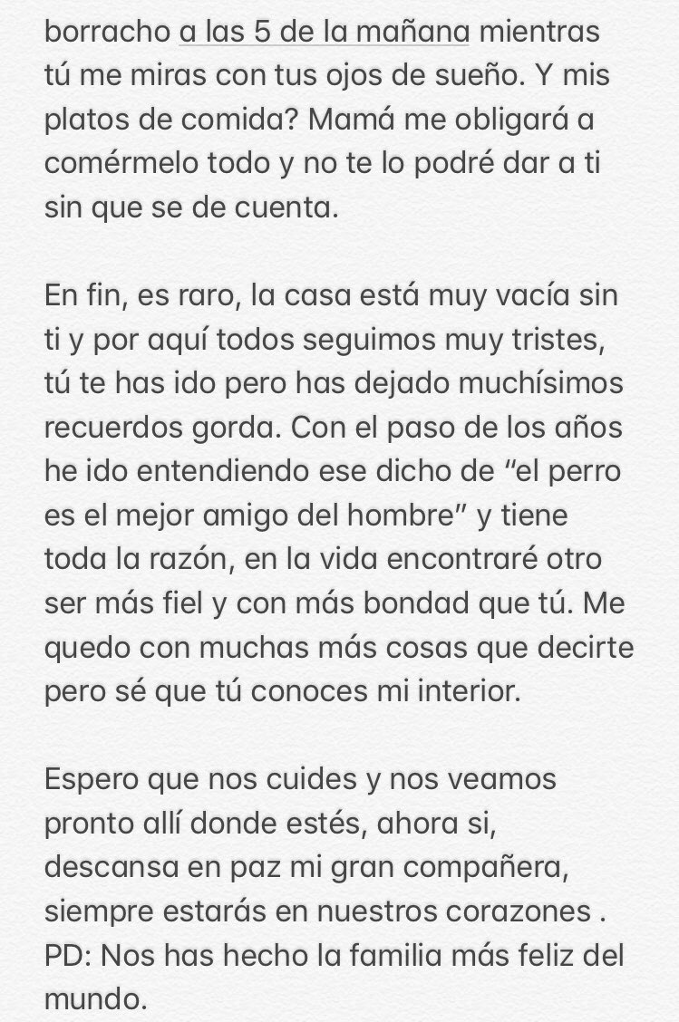 Rafagarcv's tweet photo. Más que agradecido 🐶👼🏼 https://t.co/sL4C2imZH6