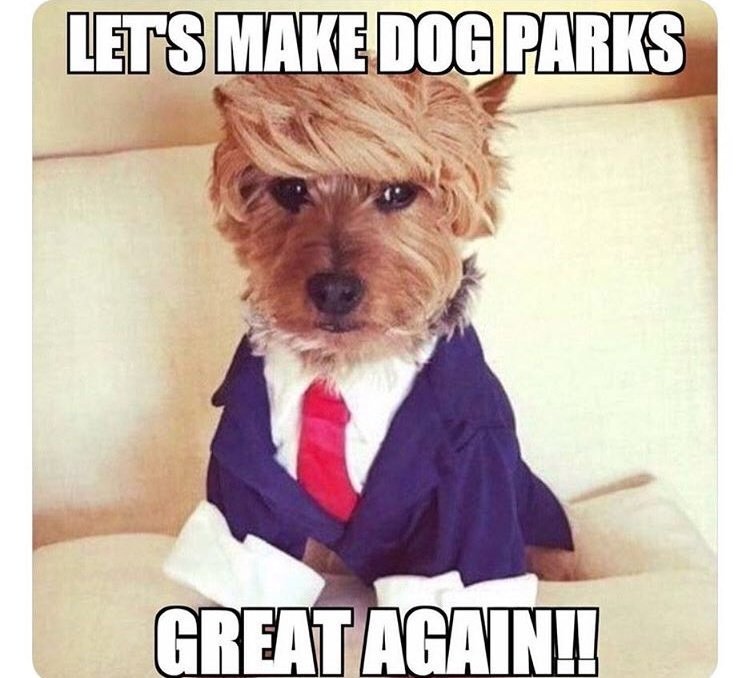Let's Make dog Parks, Great Again!!

#ComidaPet