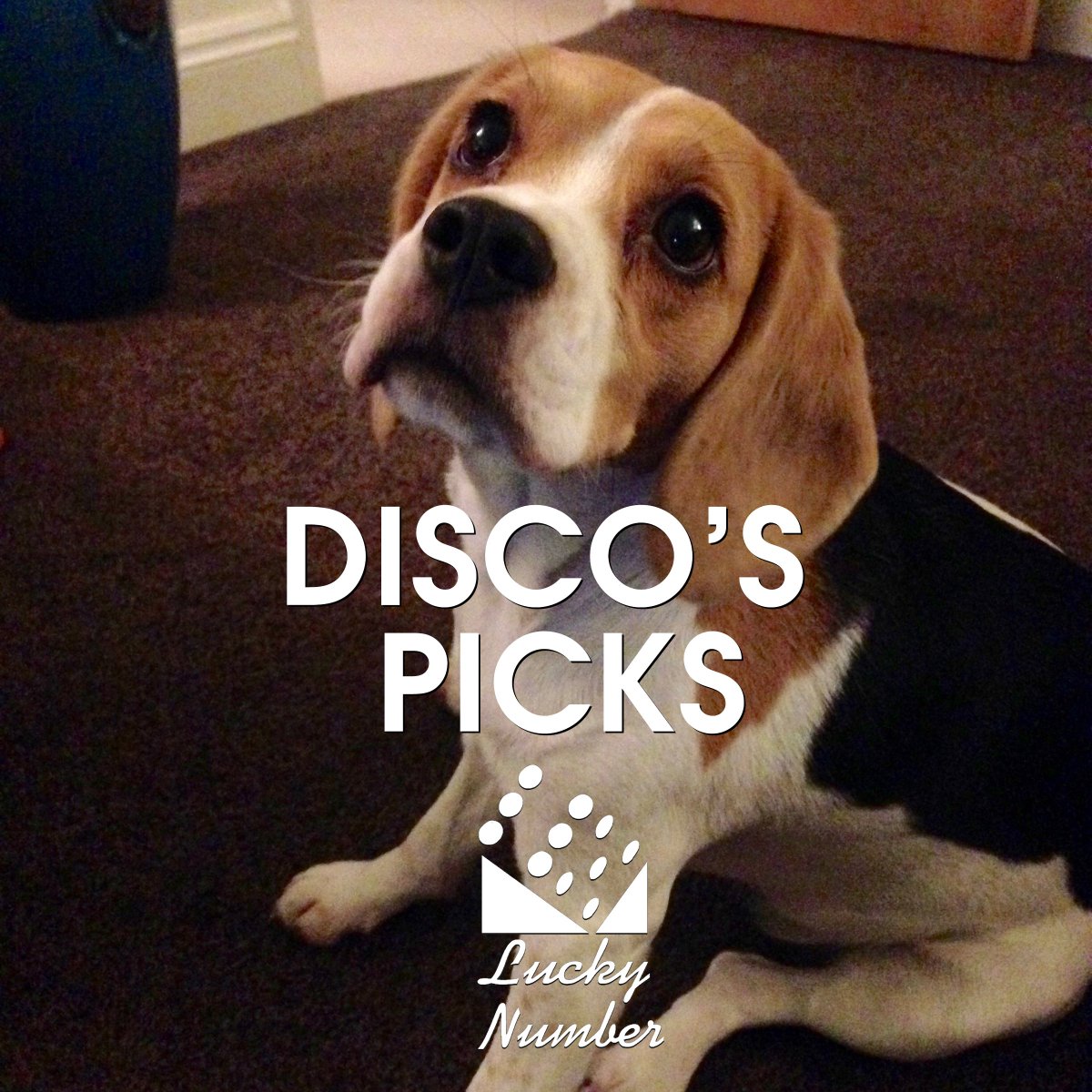 New in Disco's Picks, our office <a href="/SpotifyUK/">Spotify UK & Ireland</a> playlist, tracks from <a href="/darwindeez/">Liberal Media Elise</a> <a href="/THANKFTSE/">FTSE</a> <a href="/EmpressOf/">Empress Of</a> #macdemarco #helenadeland spoti.fi/1Mt0X8X 🎵🐶