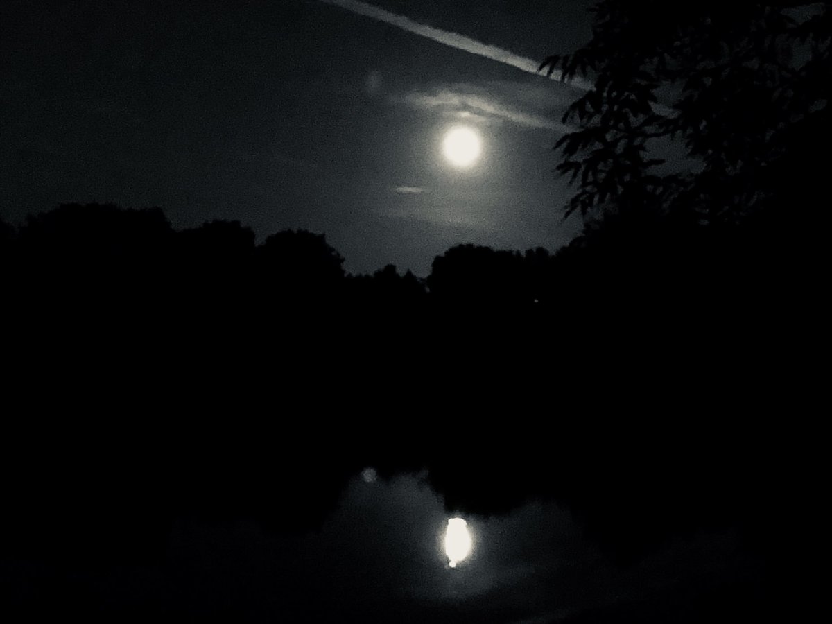 jameseatkins's tweet photo. Iβve been quite for a little while and not been out. Hard work no fishing, hopefully Iβll be out next week sometime and get me a few in the net and catch some sights like this. #AnglingAddict #sspbaits #carplife #itsawayoflife #carpfishing #fishing #adventure @sspbaits #nature https://t.co/cAB29VoUlW