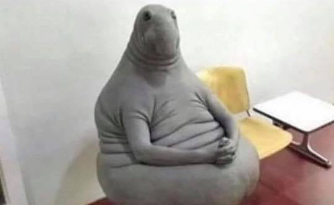 SFIGATTO tweet media