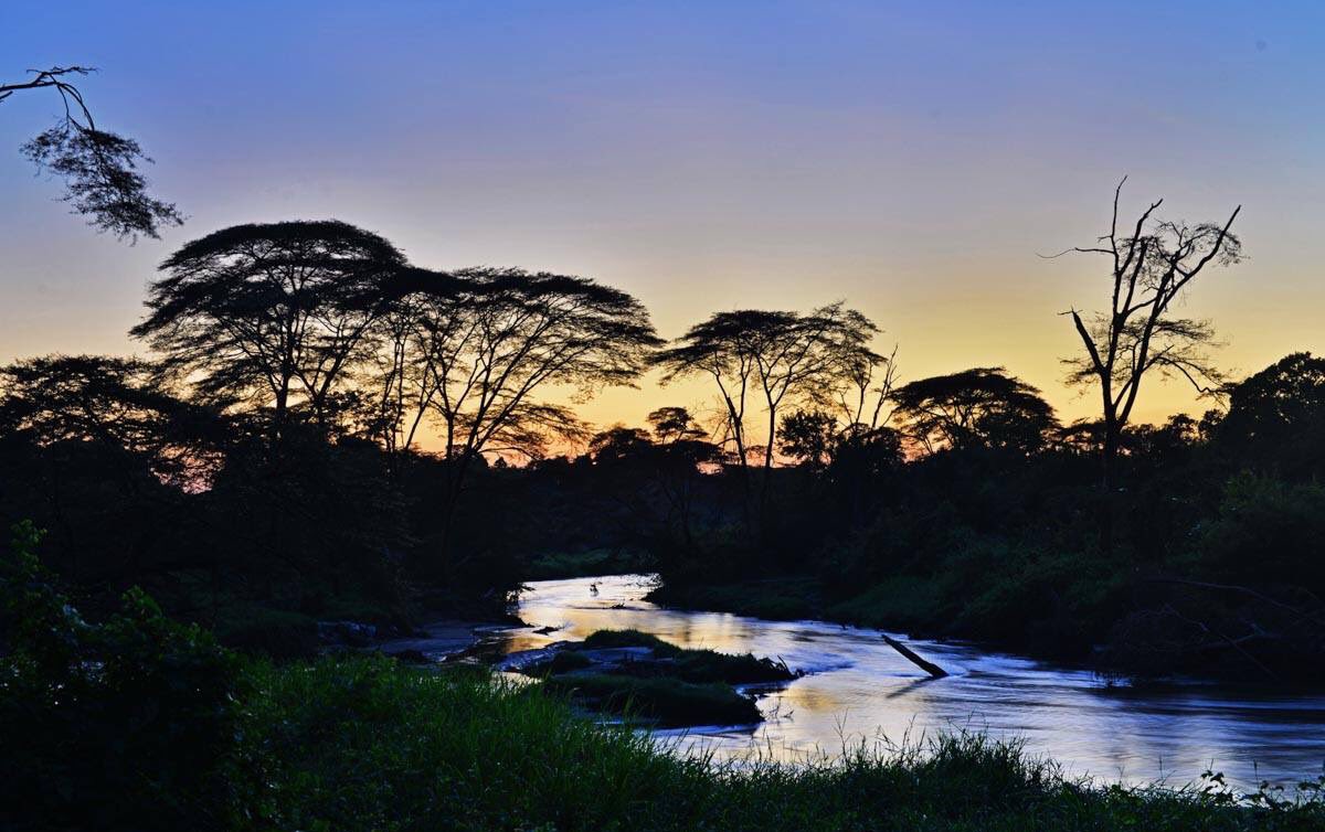 U_WildSafaris's tweet photo. #Studynature, #Lovenature, stay close to nature. It will never fail you
#Isasha #VisitUganda #QueenElizerbethNationalPark https://t.co/kLrB3Q2316 #ChinaAfrica #Dubai #salarioMinimo1000 #ChinaDailyCartoon #ChinaAfrica #China2019 #Chinandega #travel #AdventurousThursday https://t.co/gsEgQX6vcS