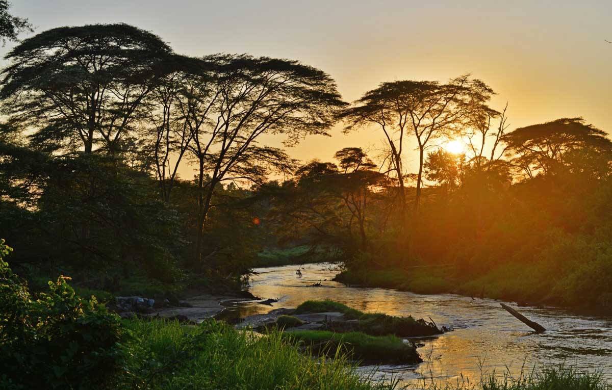 U_WildSafaris's tweet photo. #Studynature, #Lovenature, stay close to nature. It will never fail you
#Isasha #VisitUganda #QueenElizerbethNationalPark https://t.co/kLrB3Q2316 #ChinaAfrica #Dubai #salarioMinimo1000 #ChinaDailyCartoon #ChinaAfrica #China2019 #Chinandega #travel #AdventurousThursday https://t.co/gsEgQX6vcS
