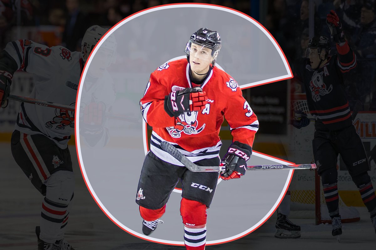 x-Niagara IceDogs tweet media
