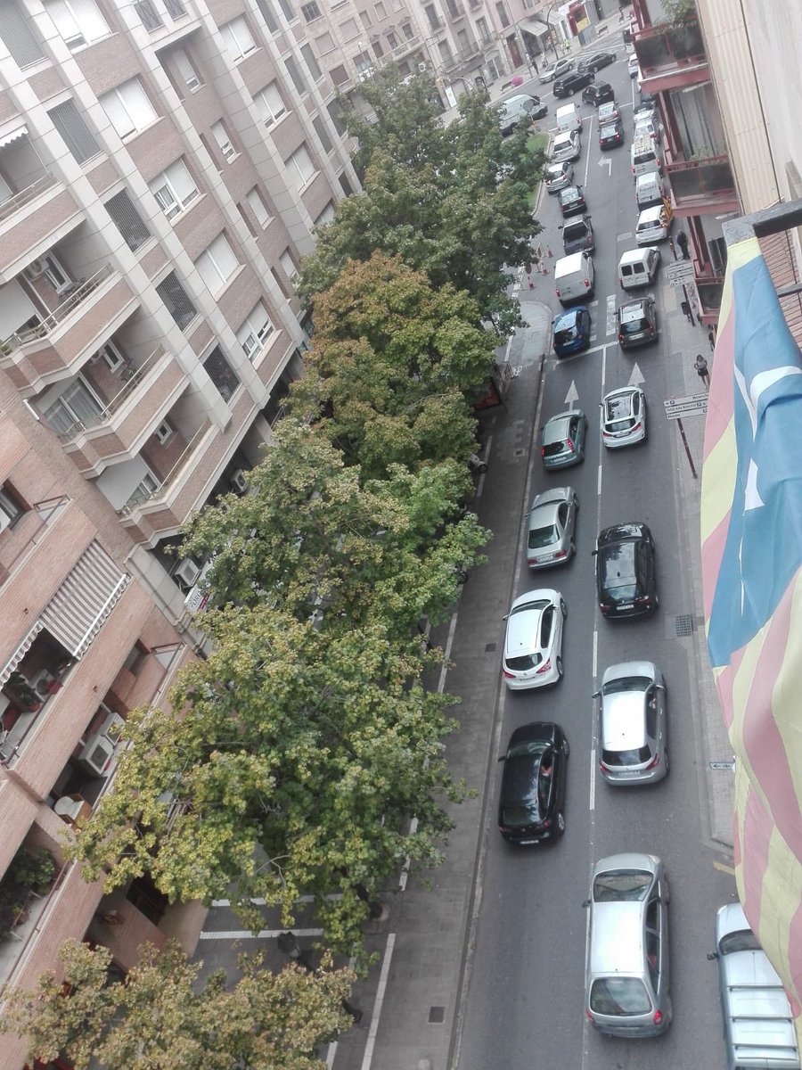 DespertemLleida's tweet photo. Aquest és el resultat quan @paerialleida no escolta als veïns. 

El carrer Lluís Companys totalment col•lapsat. https://t.co/aPa5dEPHt8