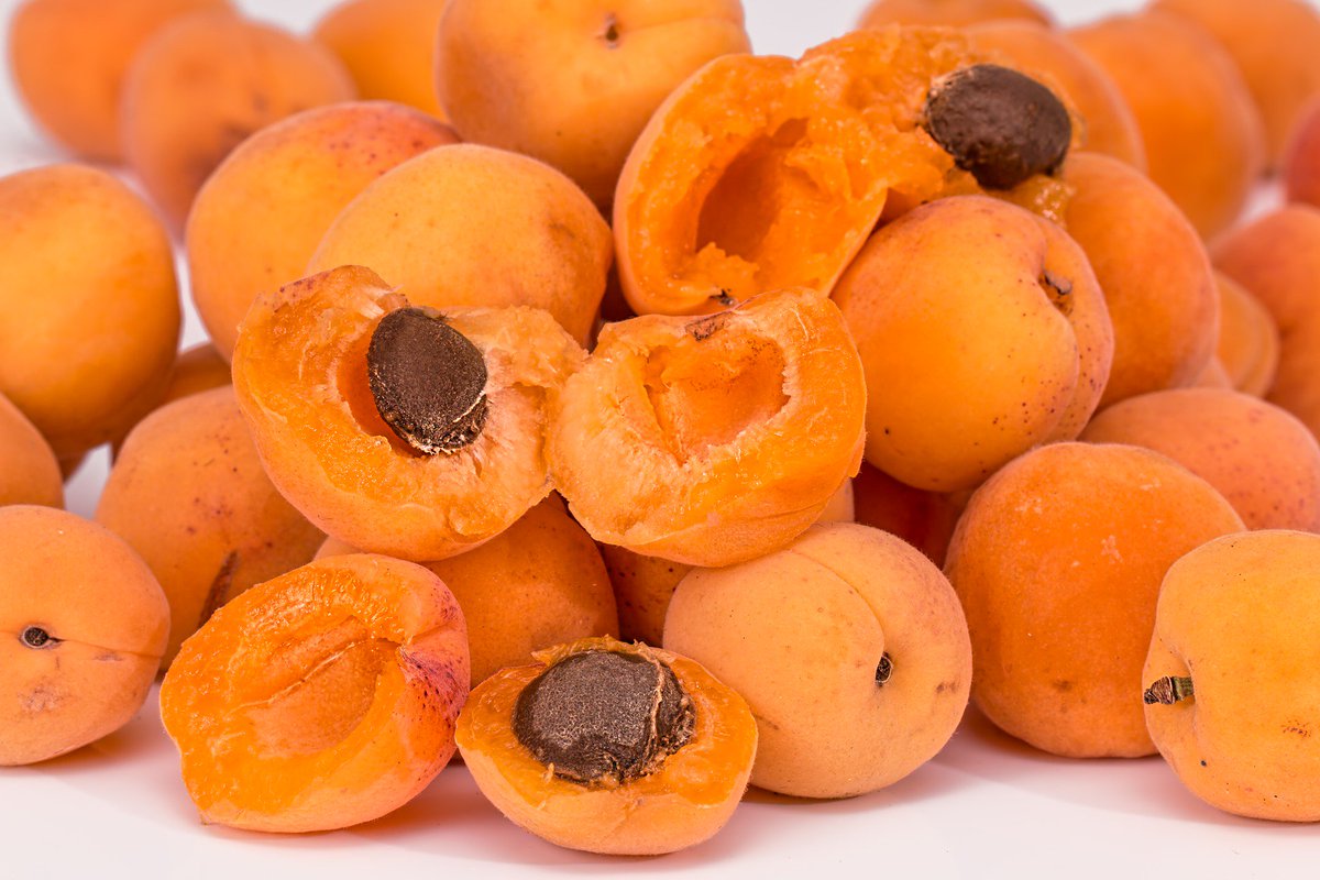 BethFratesMD's tweet photo. Good skin care involves a healthy diet. Fruits and vegetables help your skin to glow. The Vitamins A and C as well as the phytonutrients in apricots are great for your health and for your skin.

#MondayMotivation #skincare #Health #wellness #diet #nutrition #lifestyle #wellness https://t.co/GEqyxe2ueM
