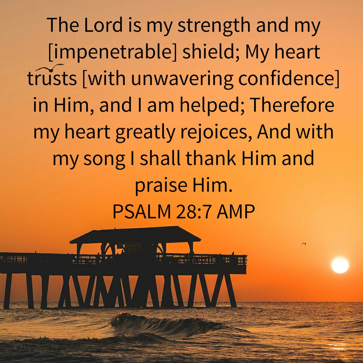 Chellybell03's tweet photo. The Lord is my strength and my [impenetrable] shield; My heart trusts [with unwavering confidence…
https://t.co/xn2ucSeguW https://t.co/gAN2t93AEY