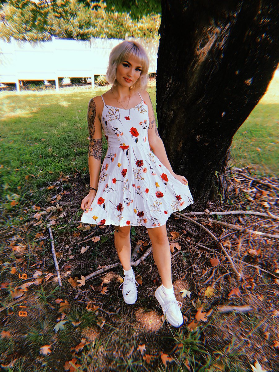 peachblossom tweet media