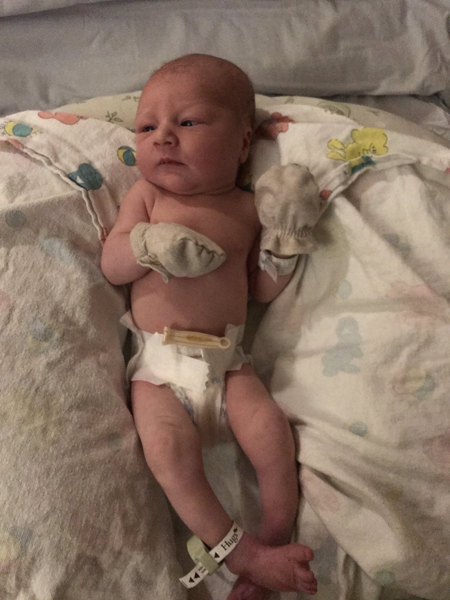 madomdomdom's tweet photo. When he was only a day old❤️now he’s already almost 3 weeks😭 https://t.co/du7G7YlZPN
