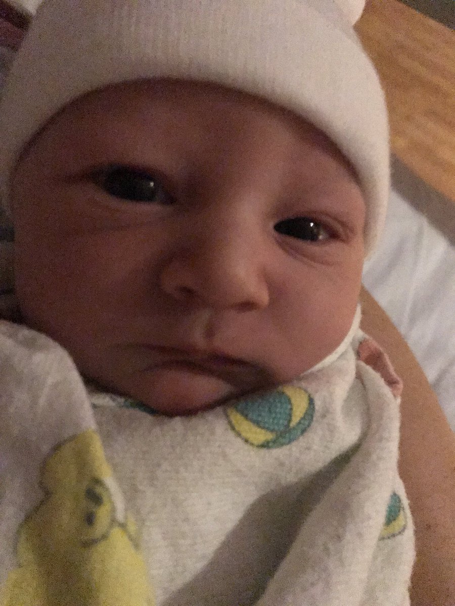 madomdomdom's tweet photo. When he was only a day old❤️now he’s already almost 3 weeks😭 https://t.co/du7G7YlZPN