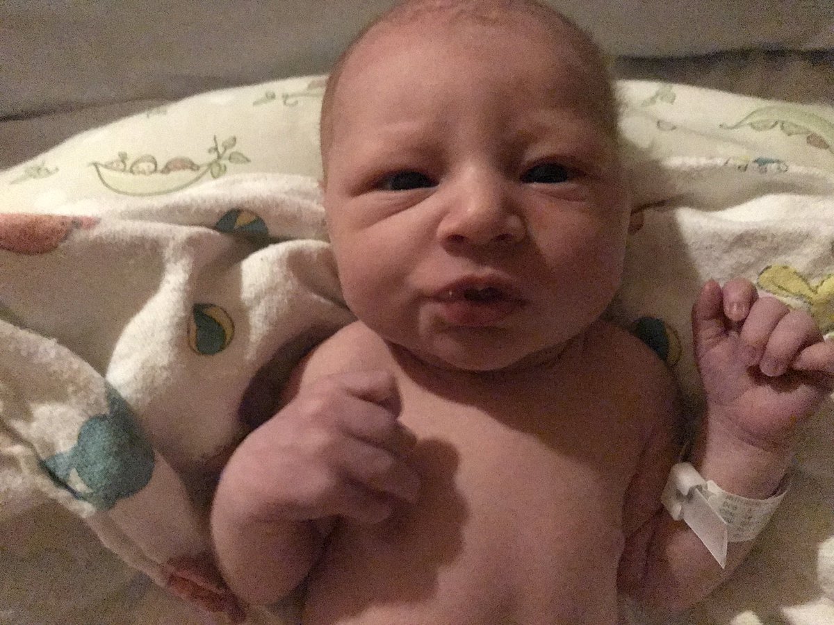 madomdomdom's tweet photo. When he was only a day old❤️now he’s already almost 3 weeks😭 https://t.co/du7G7YlZPN