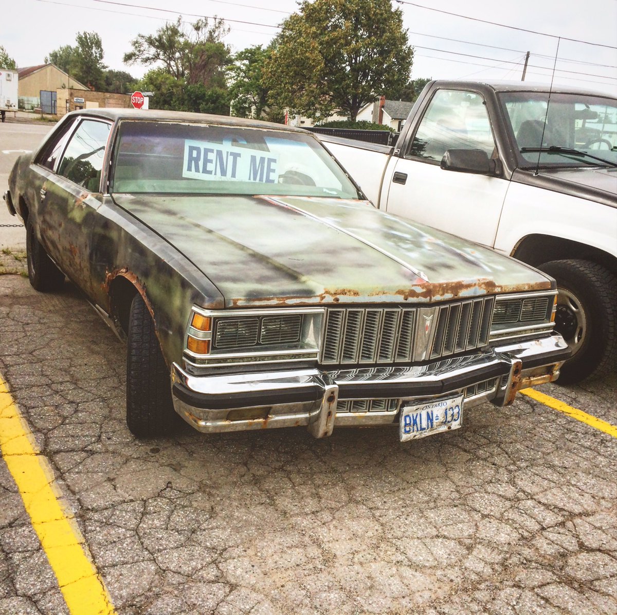 TheRazz221's tweet photo. She's back and shittier than ever #shitmobile @SWEARNET @trailerparkboys #roadlegal #LabourDay2018 https://t.co/UnKgto1evh