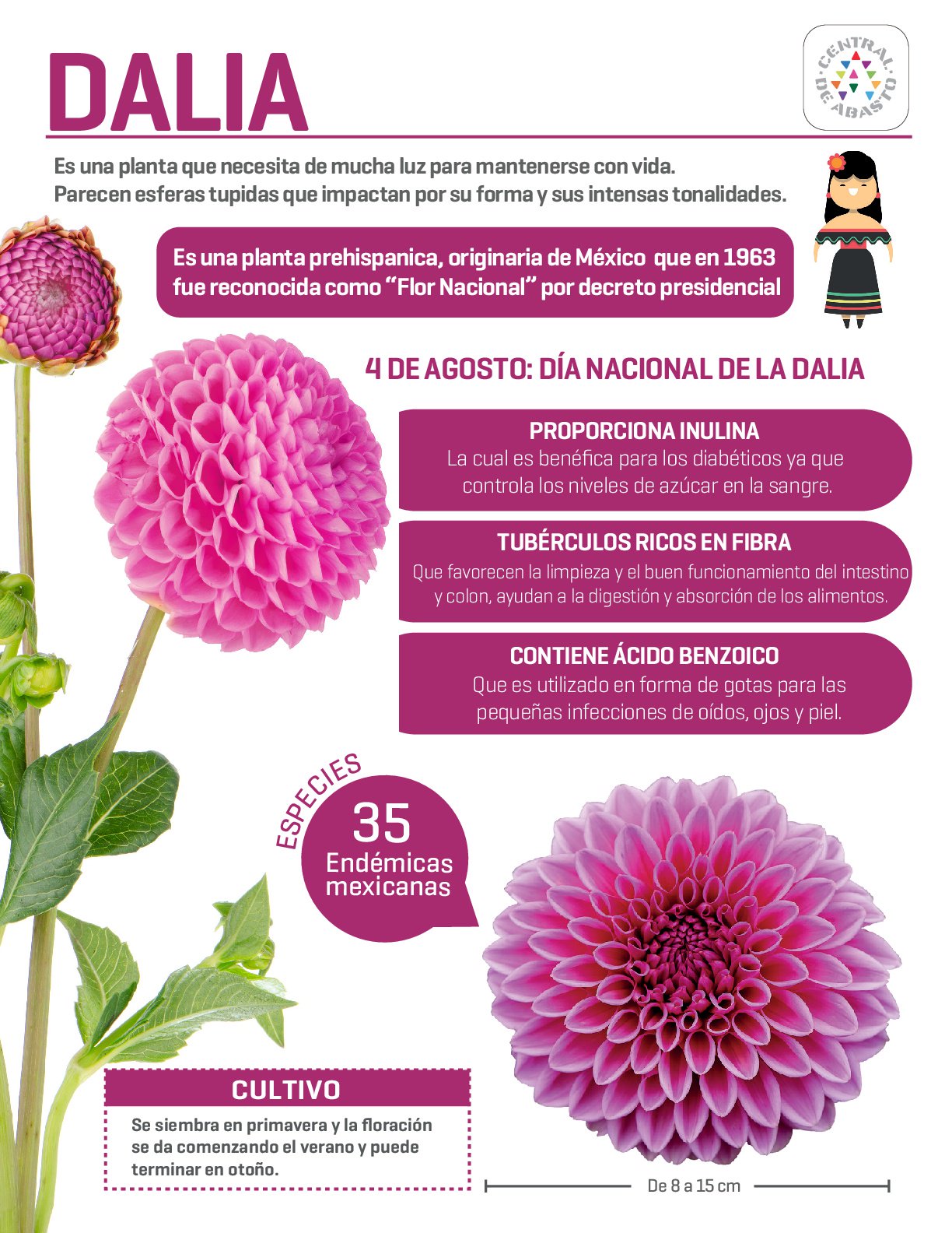 Central de Abasto CDMX on Twitter: Central de Abasto CDMX on Twitter: