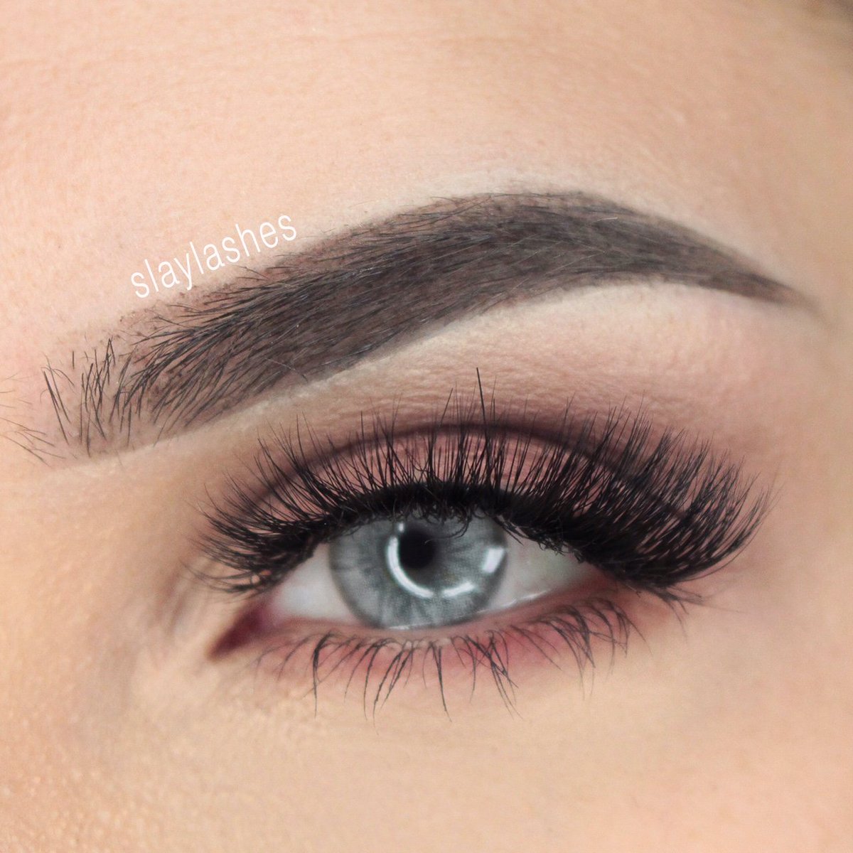 slaylashes's tweet photo. Flash Sale For 24 Hours 
25% Off
Use Code "Labor"
https://t.co/qWZ78V6tzn

#lashes #lashe #laborday #monday #labordayweekand #falselashes #FalseEyelash #fakeeyelashes #eyelashes #MinkLashes https://t.co/CMCmNgGule