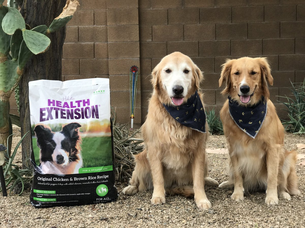 CharlieEvieDA's tweet photo. Celebrating Labor Day by eating a bowl filled up with the Original Chicken and Brown Rice Recipe @HealthExtension dog food ❤️

#healthextension #dogs #dogfood #love #holisticpetfood #healthyfood #naturaldogfood #labordayweekend https://t.co/lpLMd8OQGV