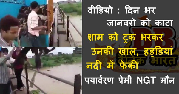 sauhem26's tweet photo. @yasu_twitt @ZeeNewsHindi @sudhirchaudhary @peta वाले #Bakrid पे कौन सी बिल में छुपते हो? #BlockPeta #AntiHinduPeta https://t.co/zxypy0mk6f
