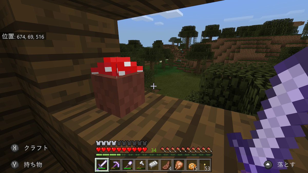 すうがく ゲームアカ على تويتر あら かわいい Minecraft マイクラ マインクラフト Nintendoswitch