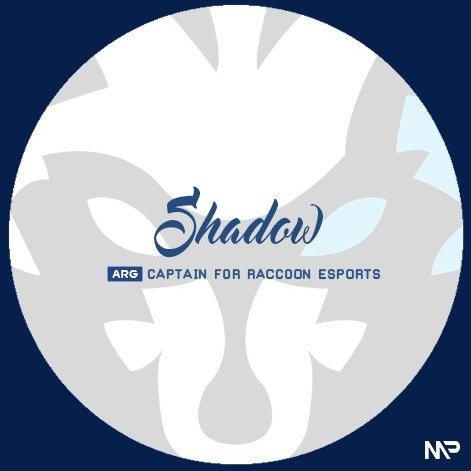 Gracias a @MatiasPonceGFX por el nuevo logo para el staff y jugadores de <a href="/RaccooneSports/">Raccoon eSports 🇦🇷</a>