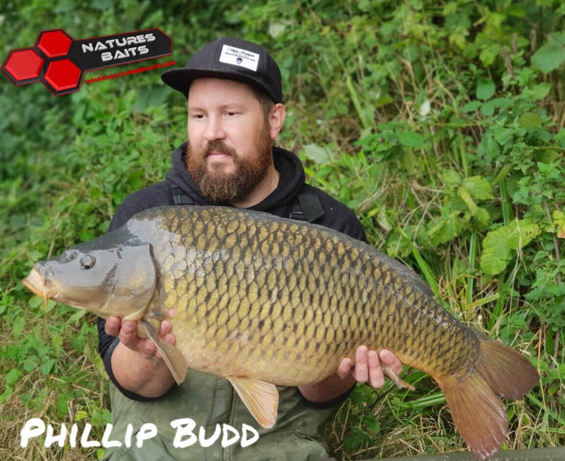 BaitJam's tweet photo. Philip Budd been out testing the 2019 new boilie range at various venues in the south west, like our other ranges a great HNV range that fits in with our other ranges to cover the carps dietary requirements and give you that edge 

https://t.co/XyZpZnpN2C https://t.co/wzekOZs66z