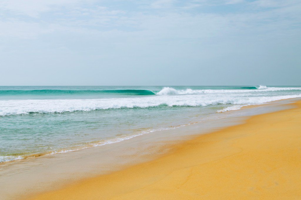MermaidSociety's tweet photo. #CLIPOFTHEWWEEK: @TylerWright Discovers #TheSnake as part of #thesearch @ripcurl https://t.co/vBU2CVnuQT https://t.co/BIXsl9tWRQ