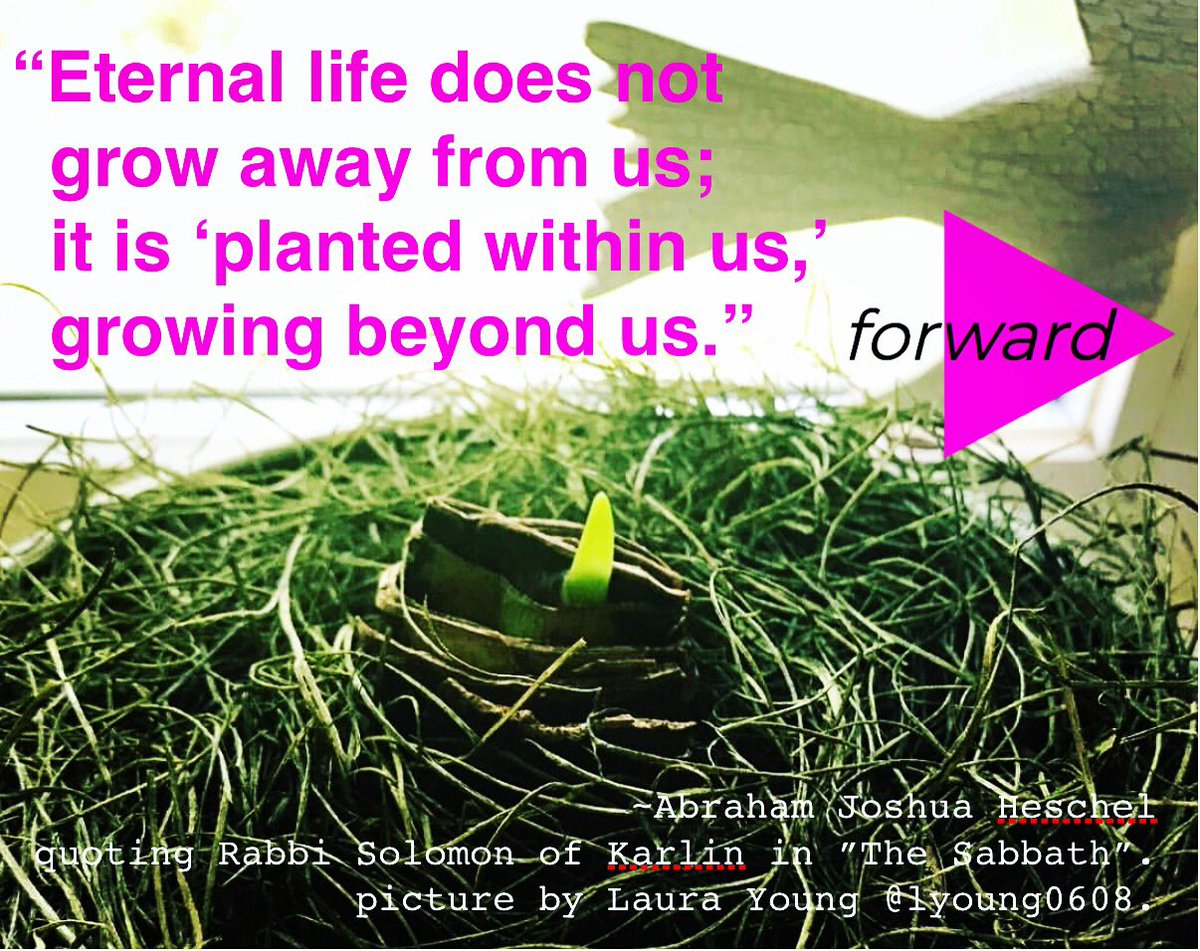 um_forward's tweet photo. “Eternal life does not grow away from us; it is ‘planted within us,’ growing beyond us.” #UMForward 
#TheSimplePlan 
#CalledOut 
#ForwardWithFaith 
#ForwardWithJustice 
#ForwardWithEveryoneBorn 
#UMC https://t.co/MZfTSAtn16